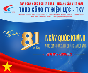 Điện lực - TKV