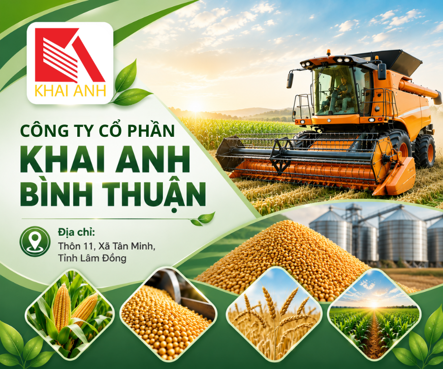 Khai Anh Bình Thuận